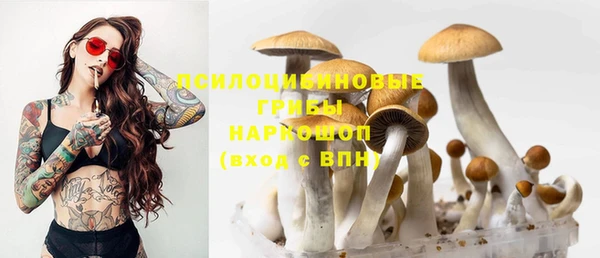 эйфоретик Балахна