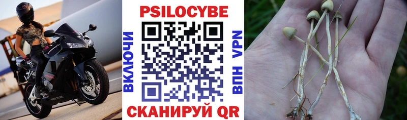 купить   Красноуфимск  Галлюциногенные грибы прущие грибы 